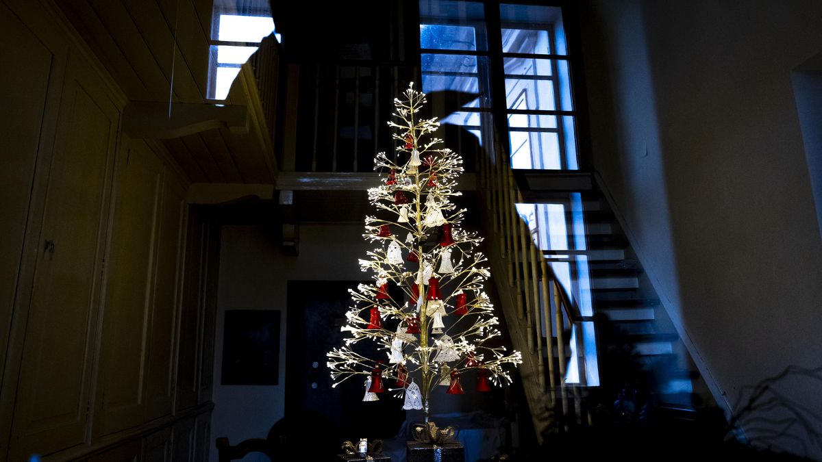 FOTO: 100 let českých Vánoc. Stromky visely špičkou dolů, jablka jako první ozdoby